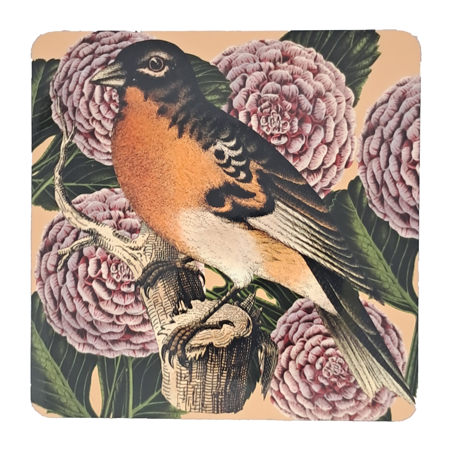 Coaster Set - Brids & Flowers