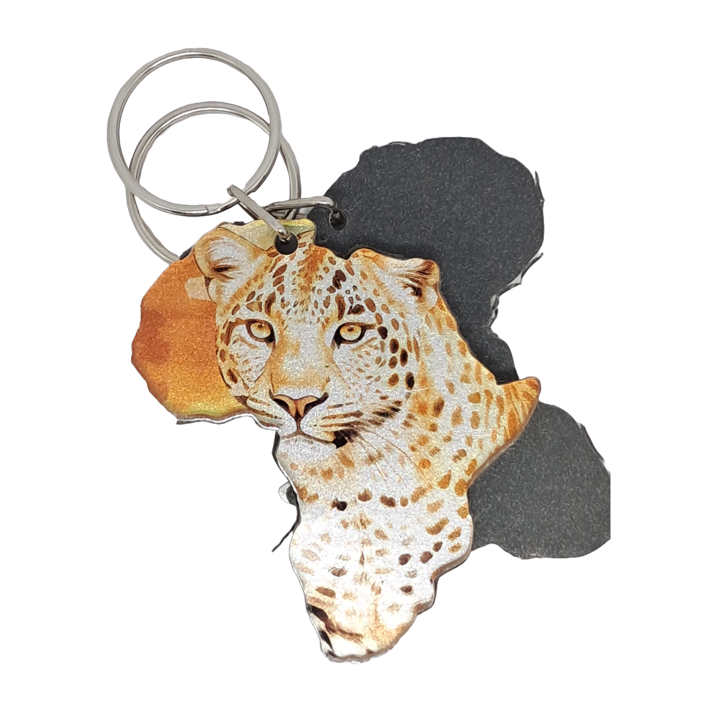 Africa Map - Leopard