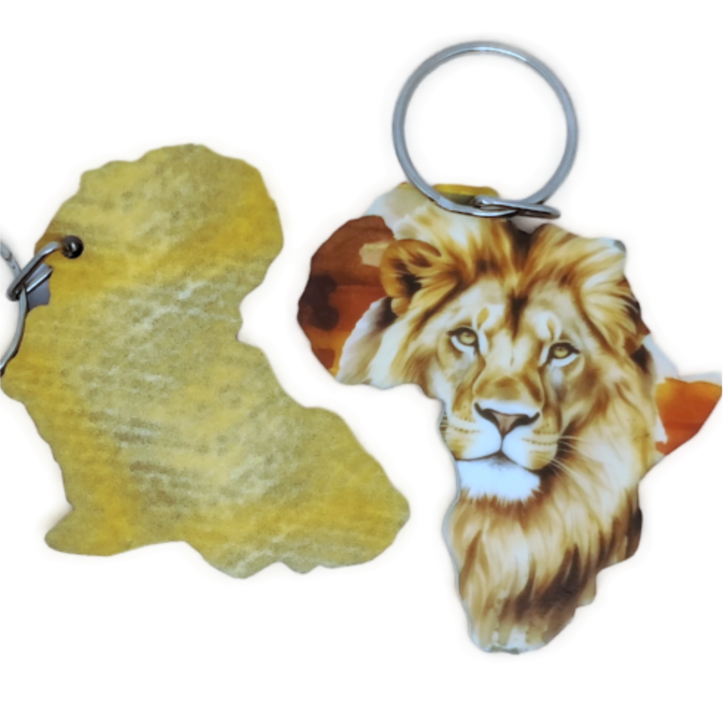 Africa Map - Lion