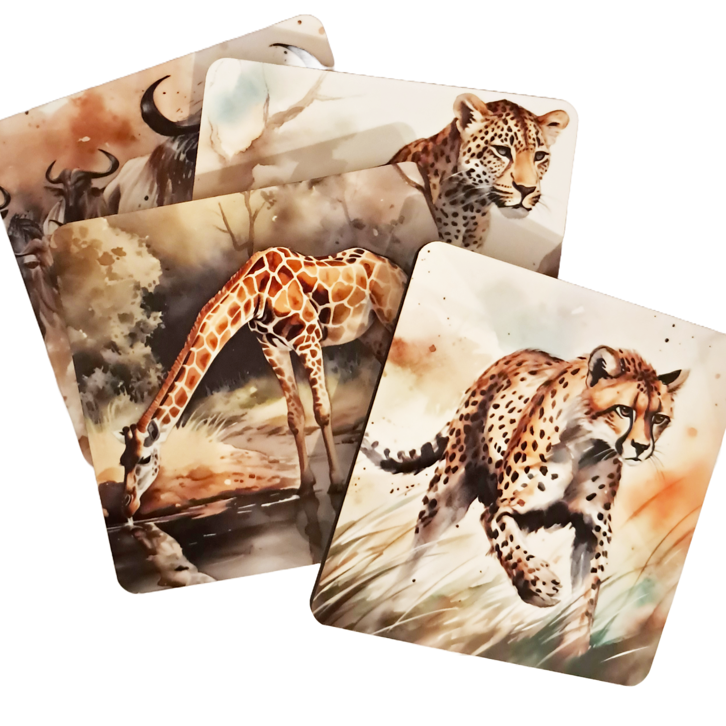 Coaster Set - African animals watercolour