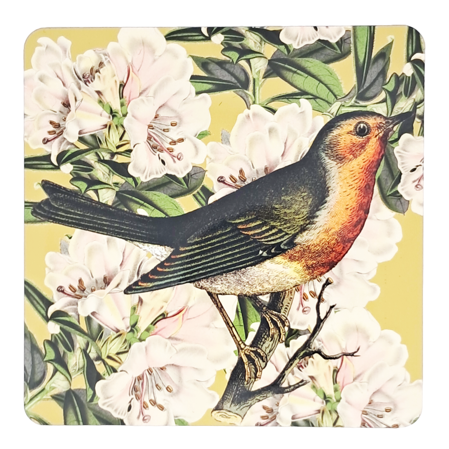 Coaster Set - Brids & Flowers