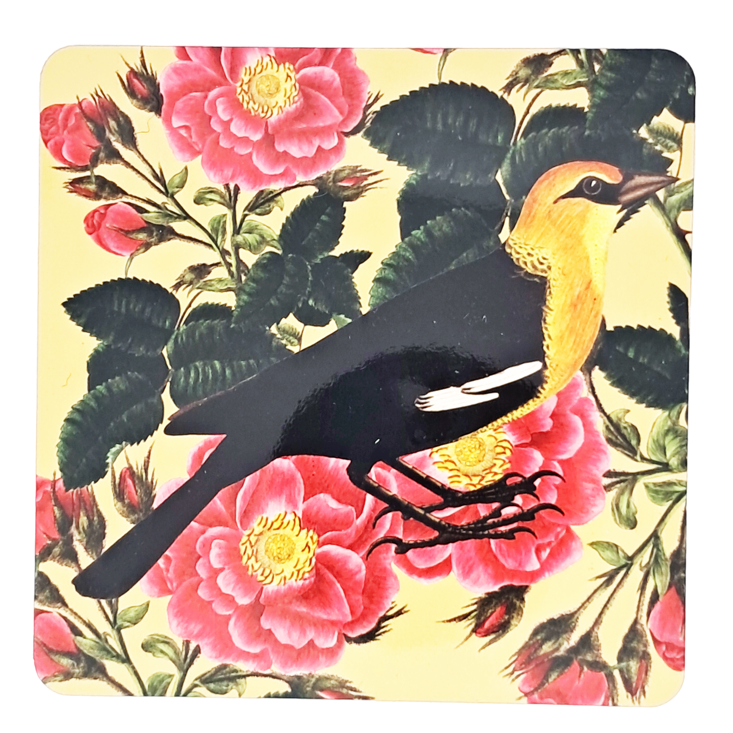 Coaster Set - Brids & Flowers