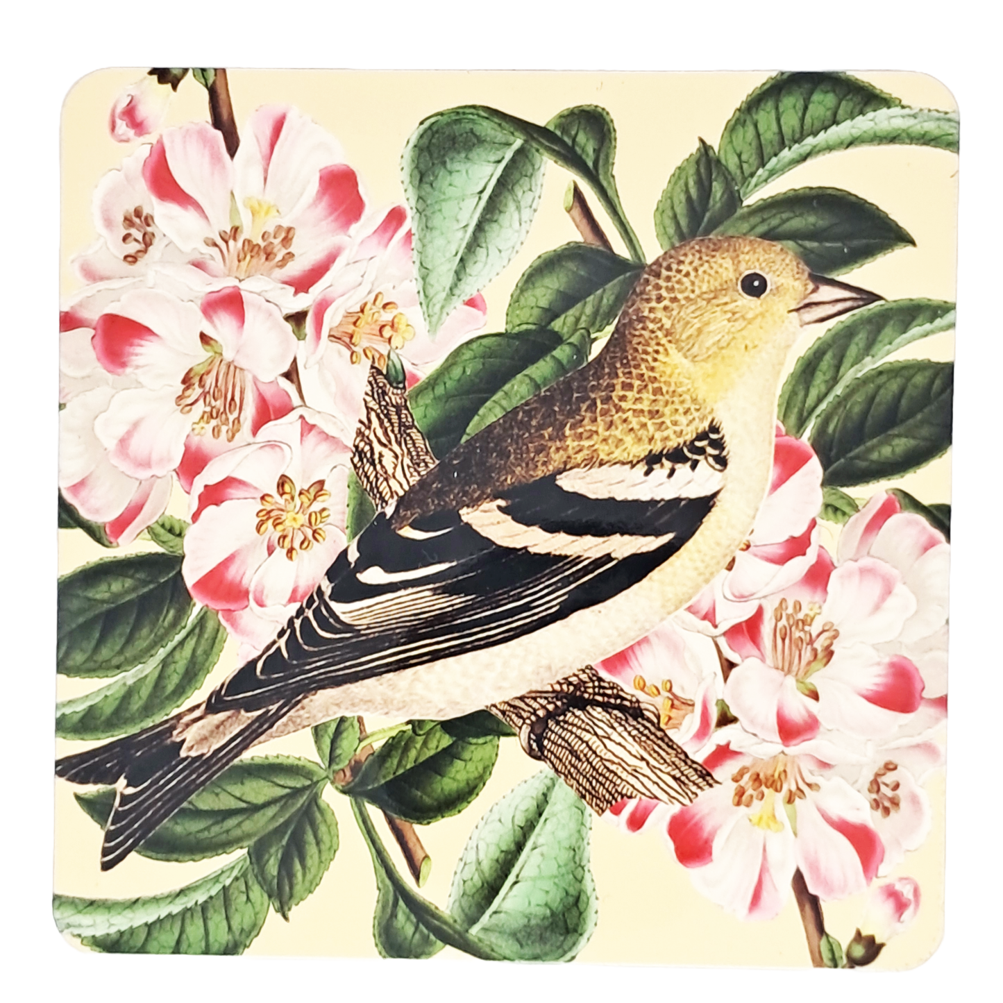 Coaster Set - Brids & Flowers