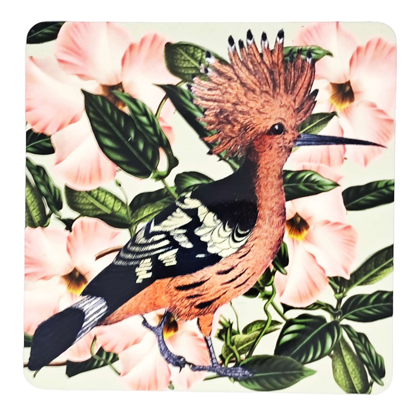 Coaster Set - Brids & Flowers