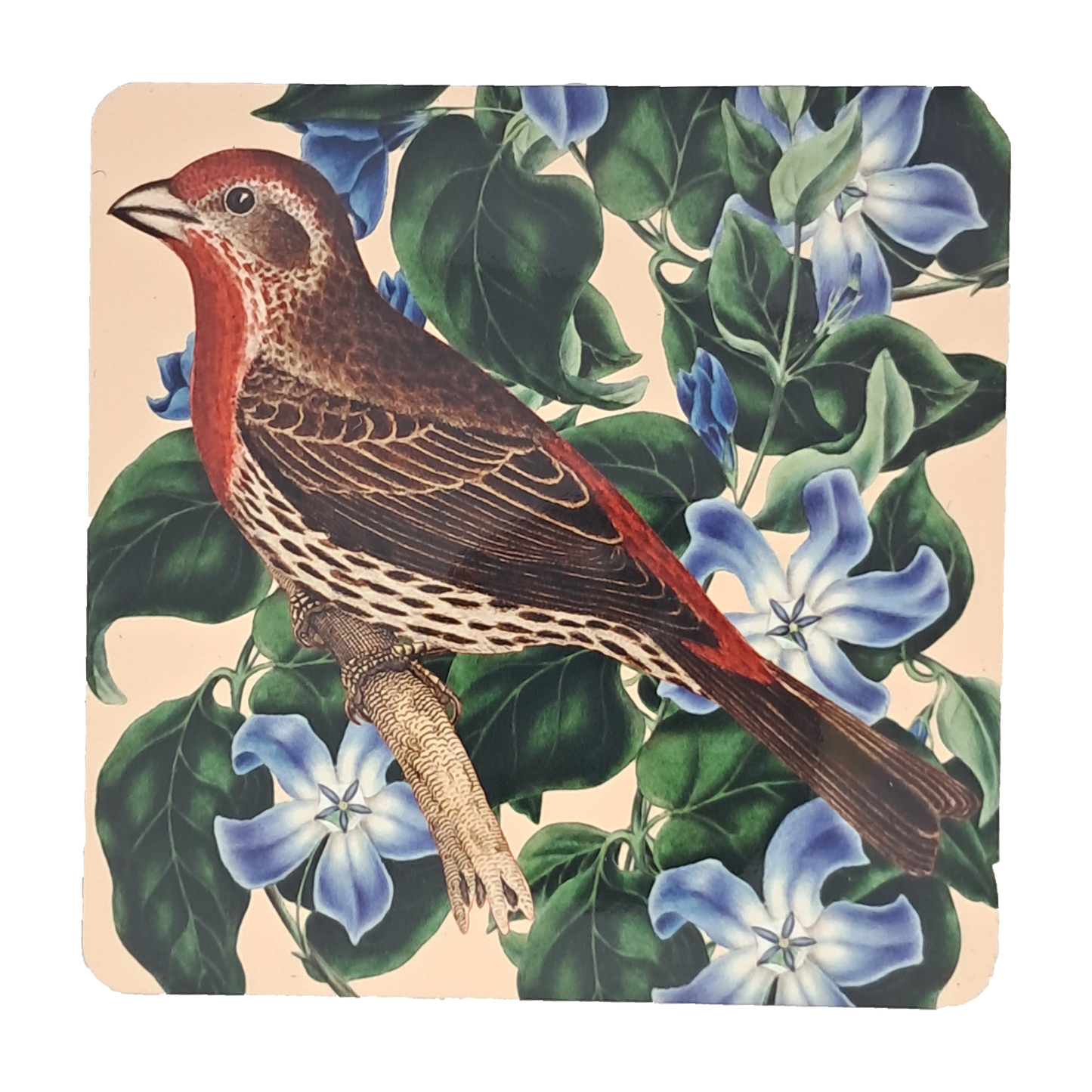 Coaster Set - Brids & Flowers