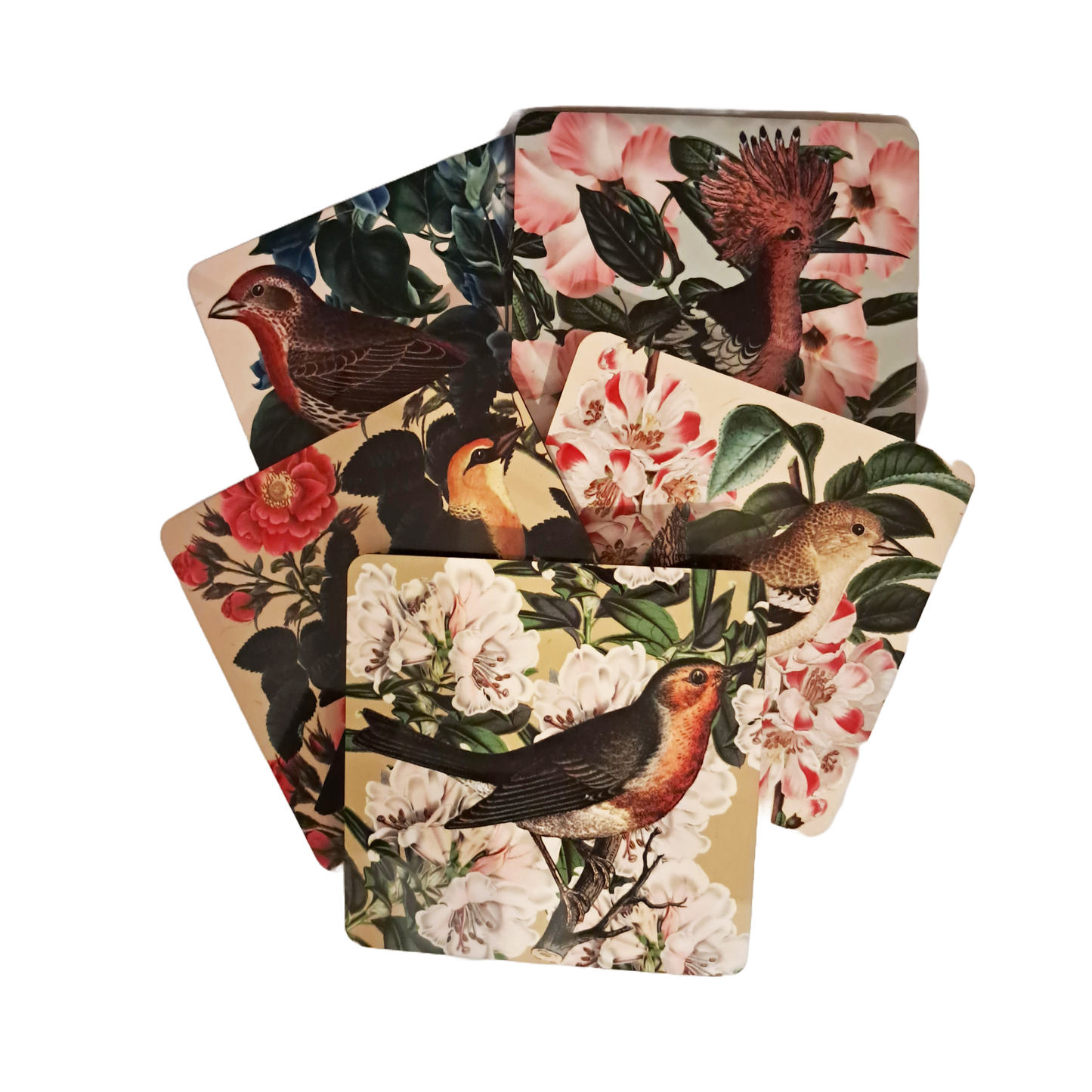 Coaster Set - Brids & Flowers