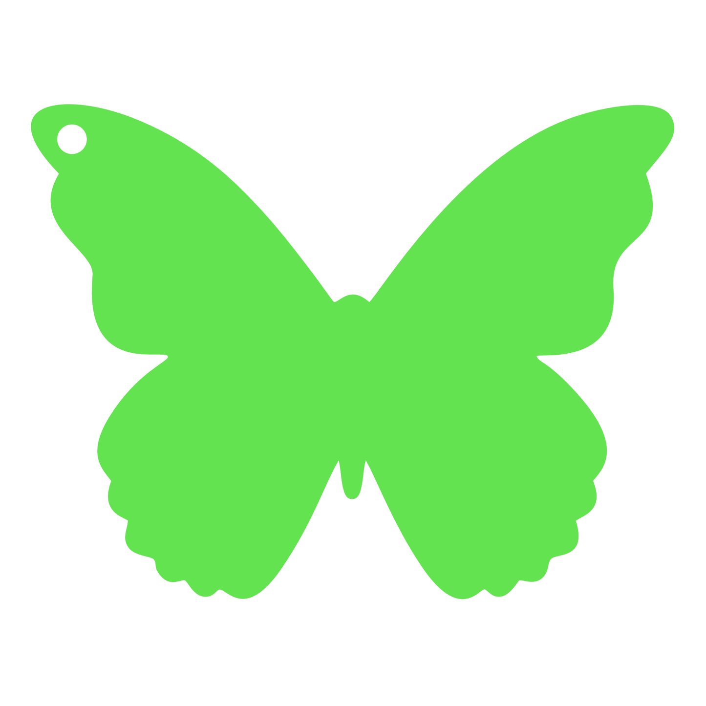 Blank - Butterfly