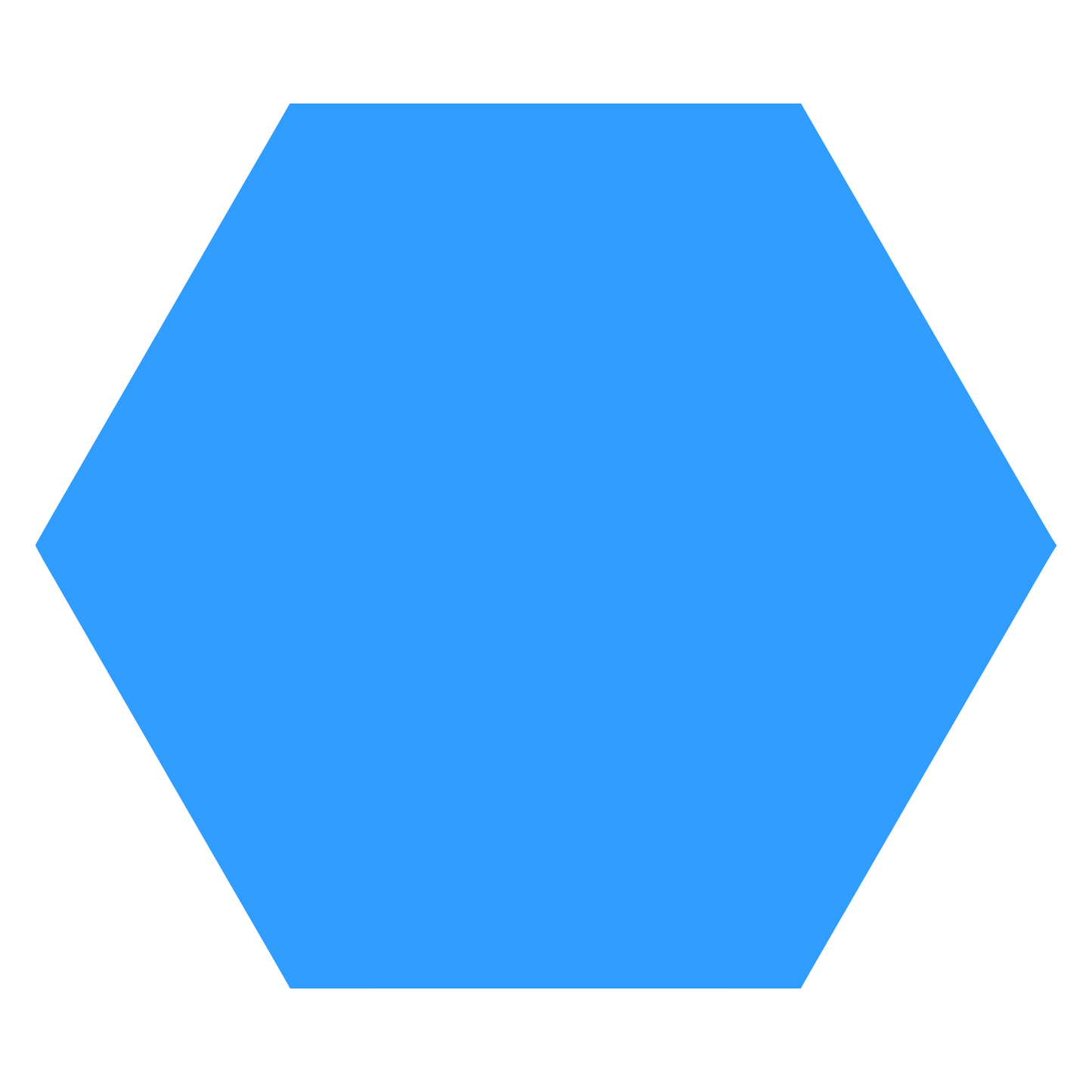 Blank - Hexagon