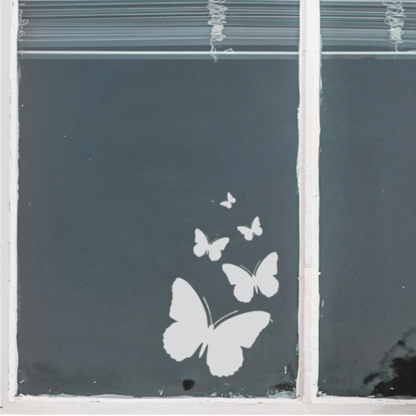 Decal - Butteflies