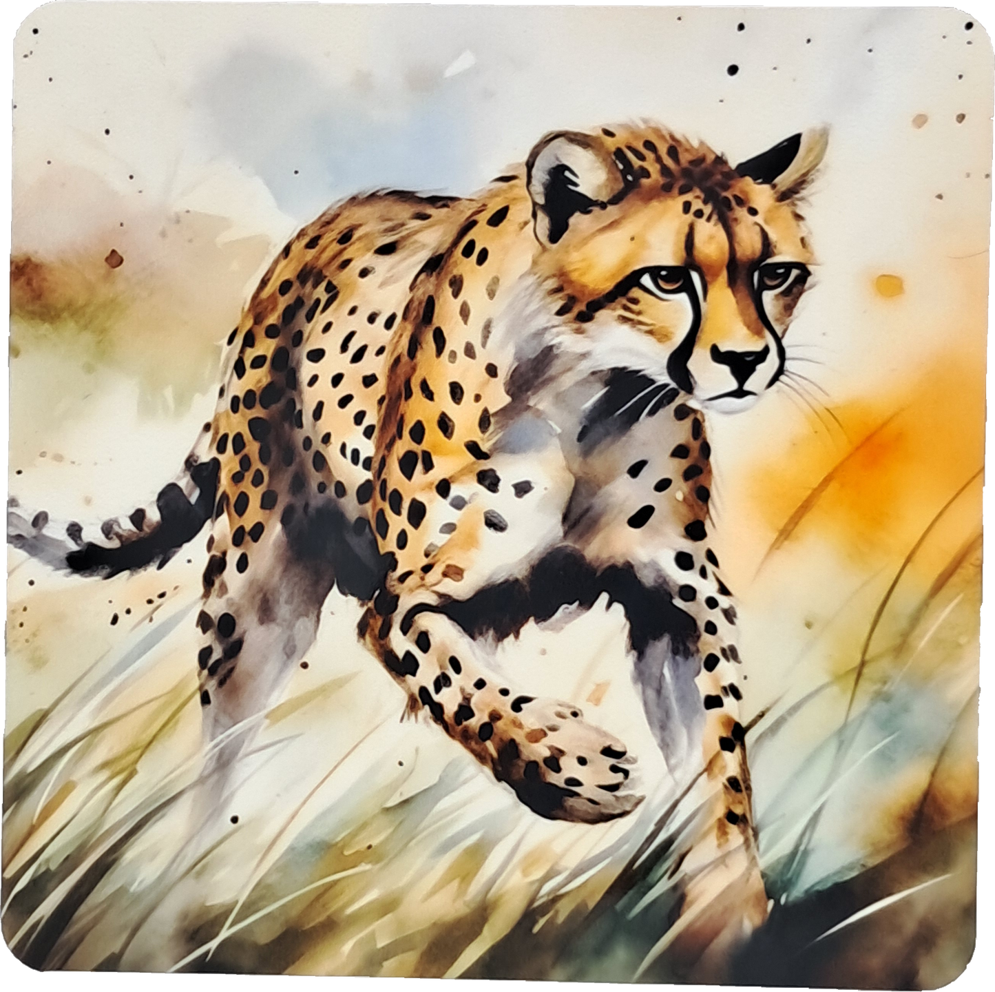 Coaster Set - African animals watercolour