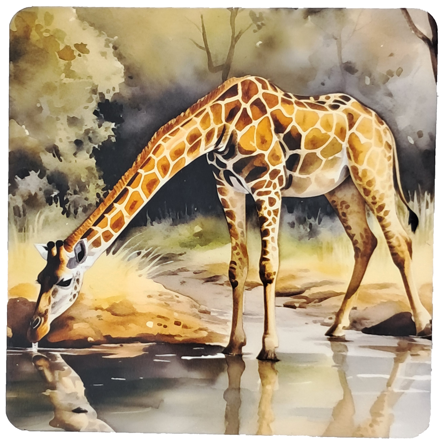 Coaster Set - African animals watercolour