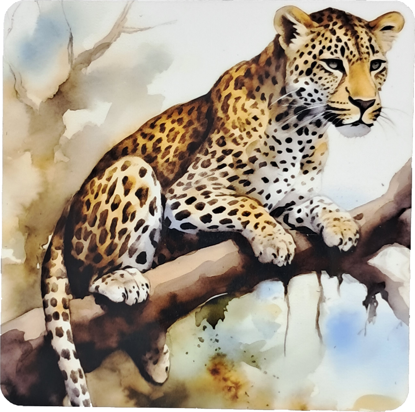 Coaster Set - African animals watercolour