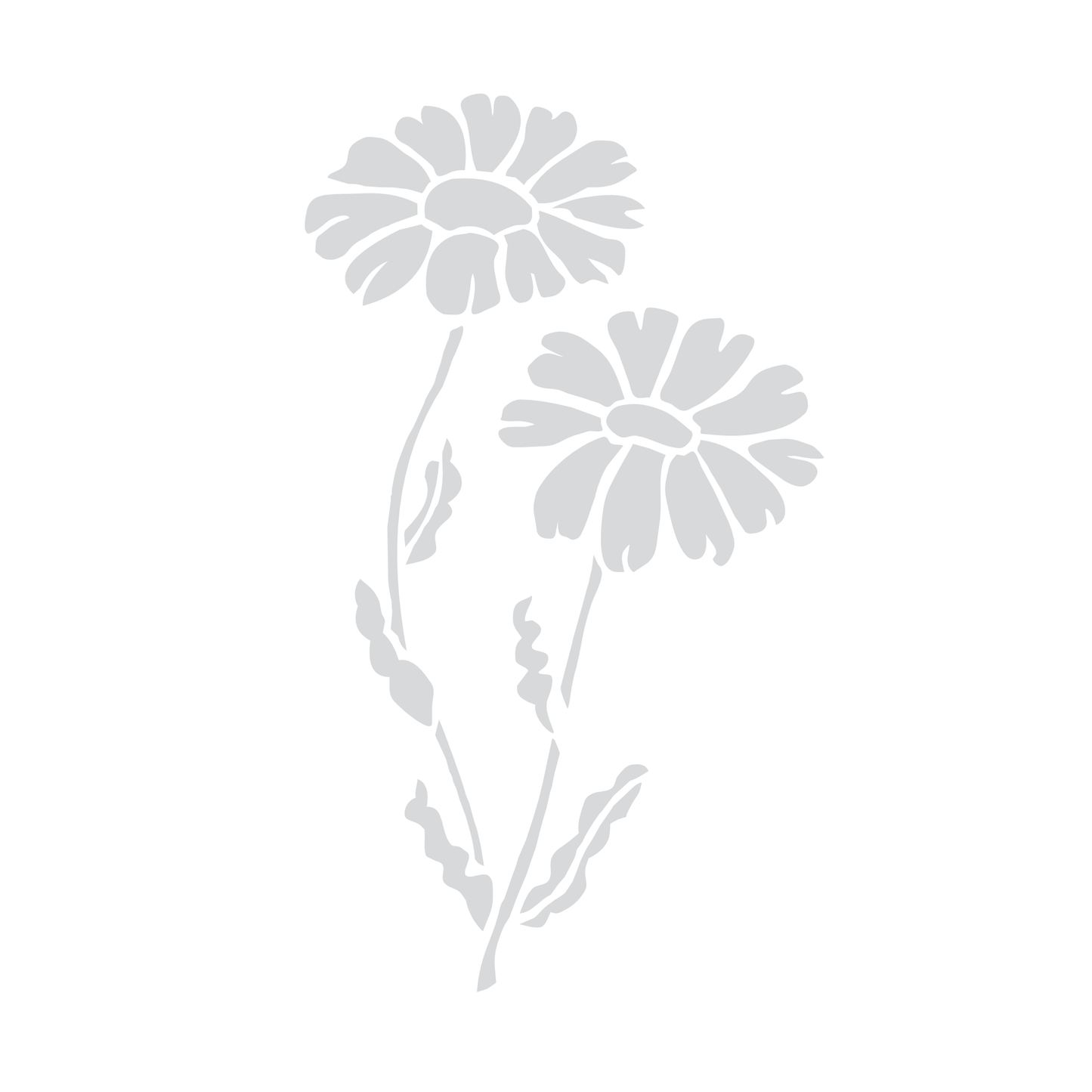 Decal - Magrietjie
