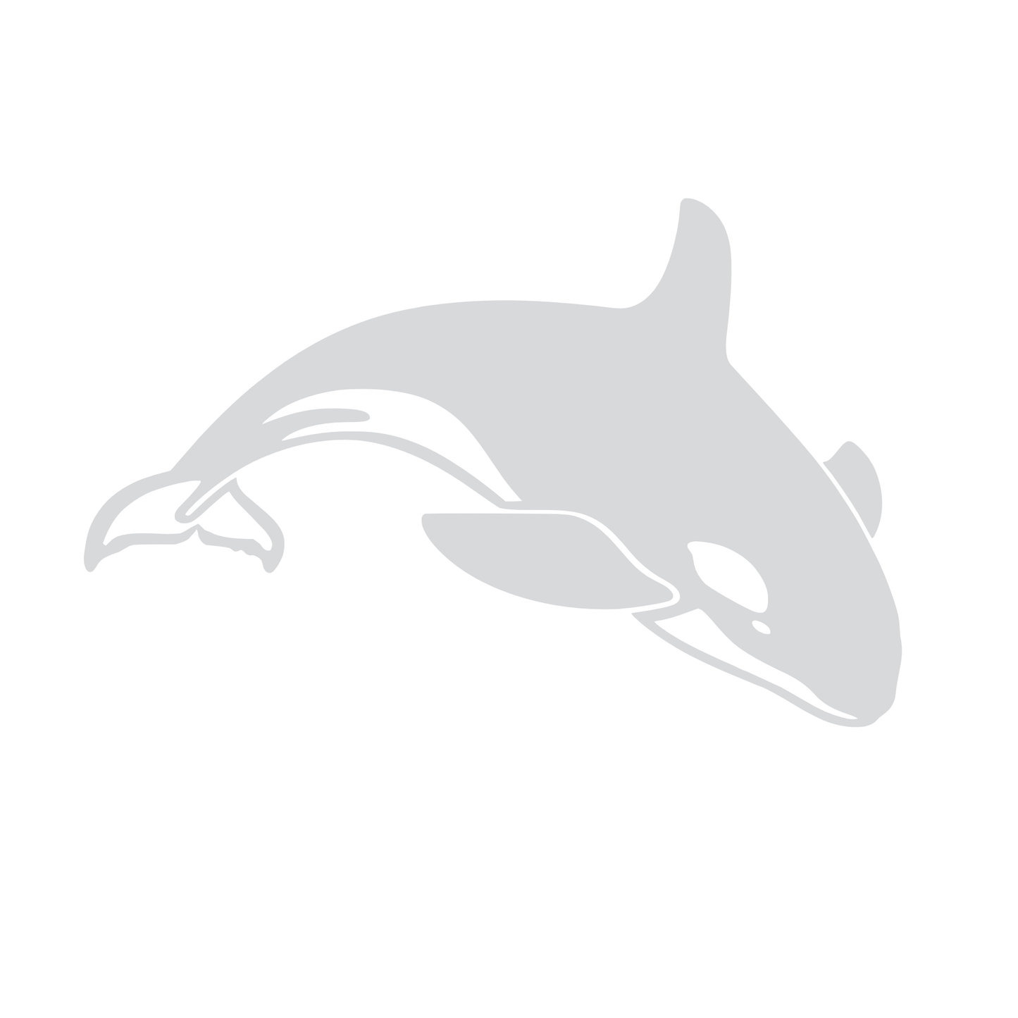 Decal - Orca