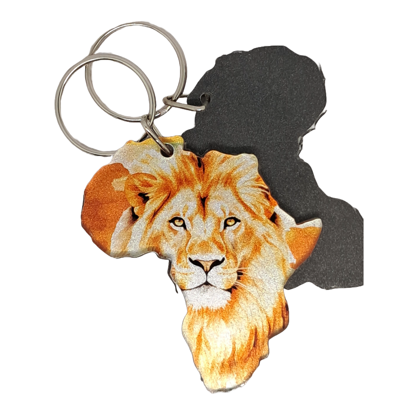 Africa Map - Lion