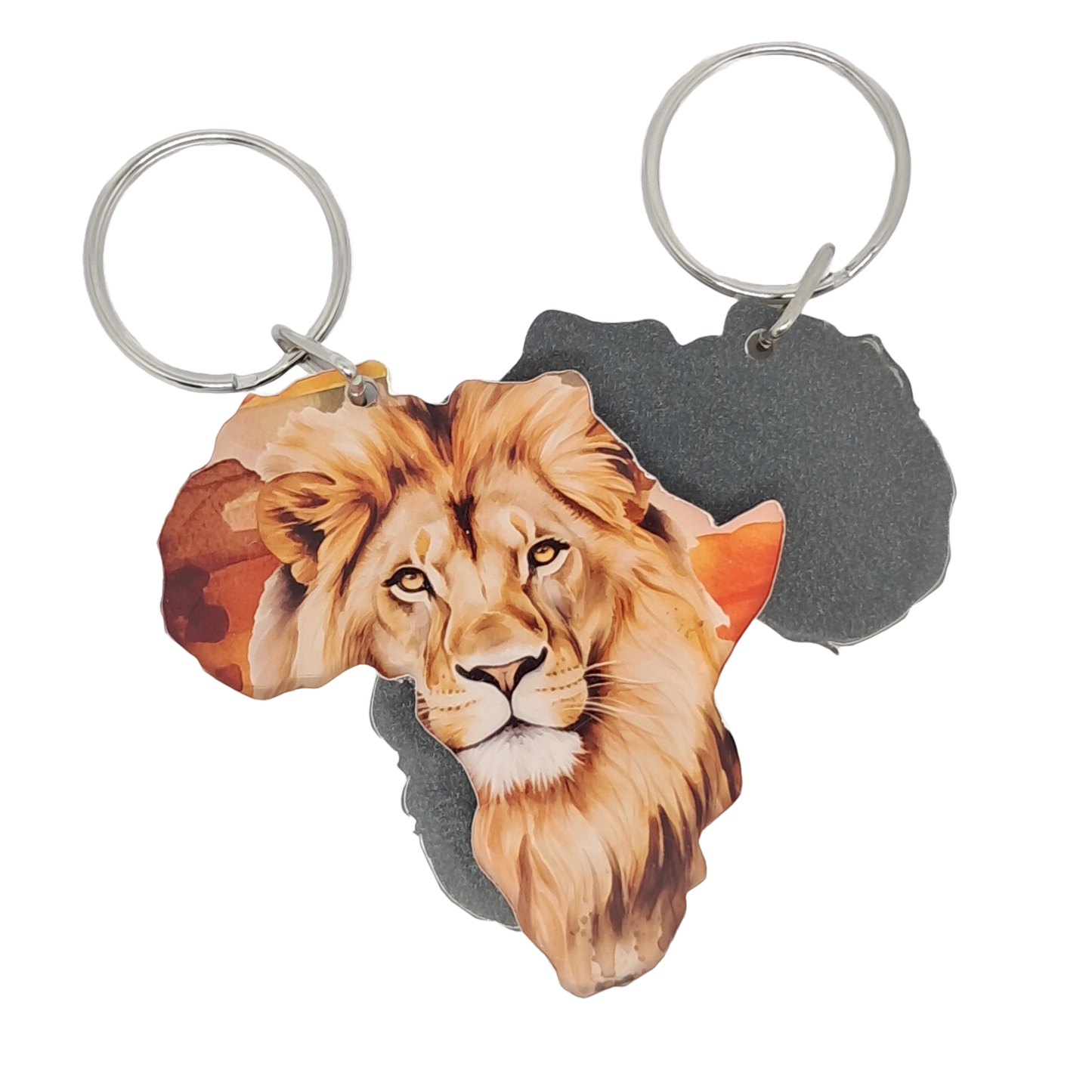 Africa Map - Lion