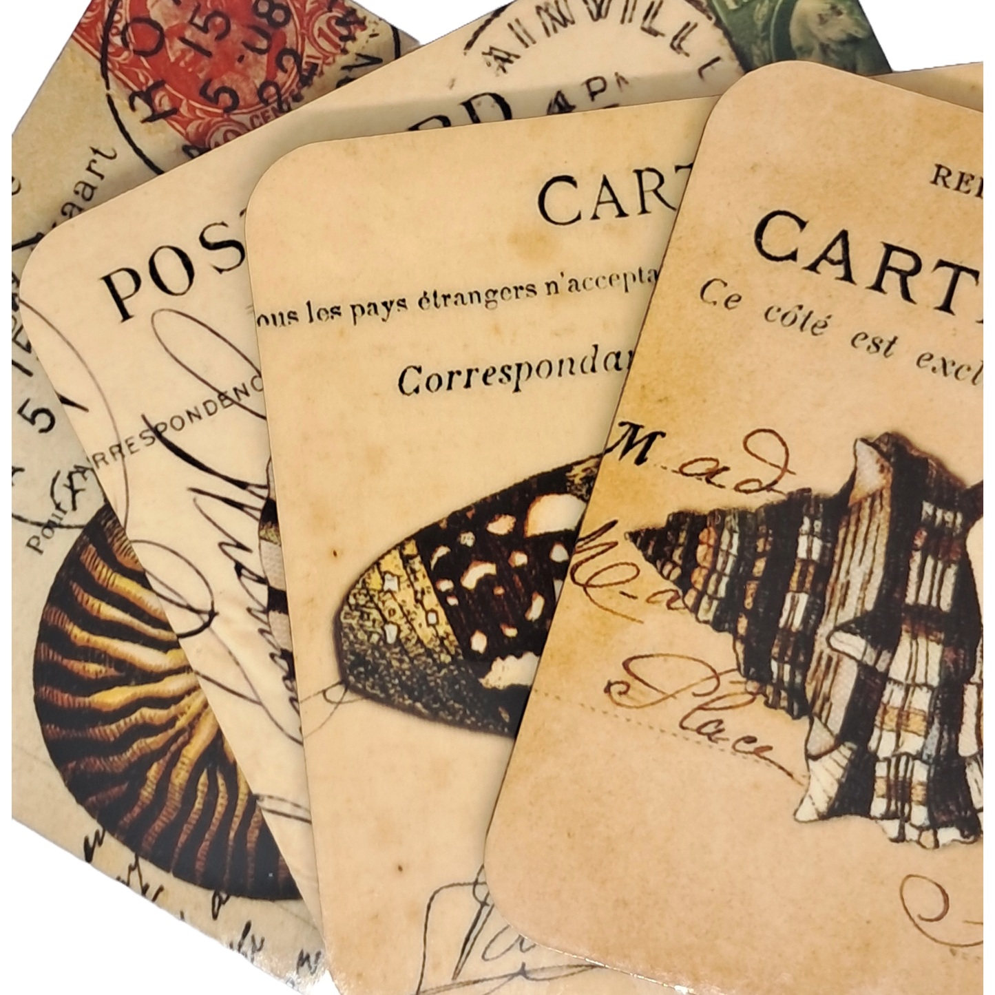 Coaster Set - Shells