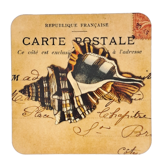 Coaster Set - Shells