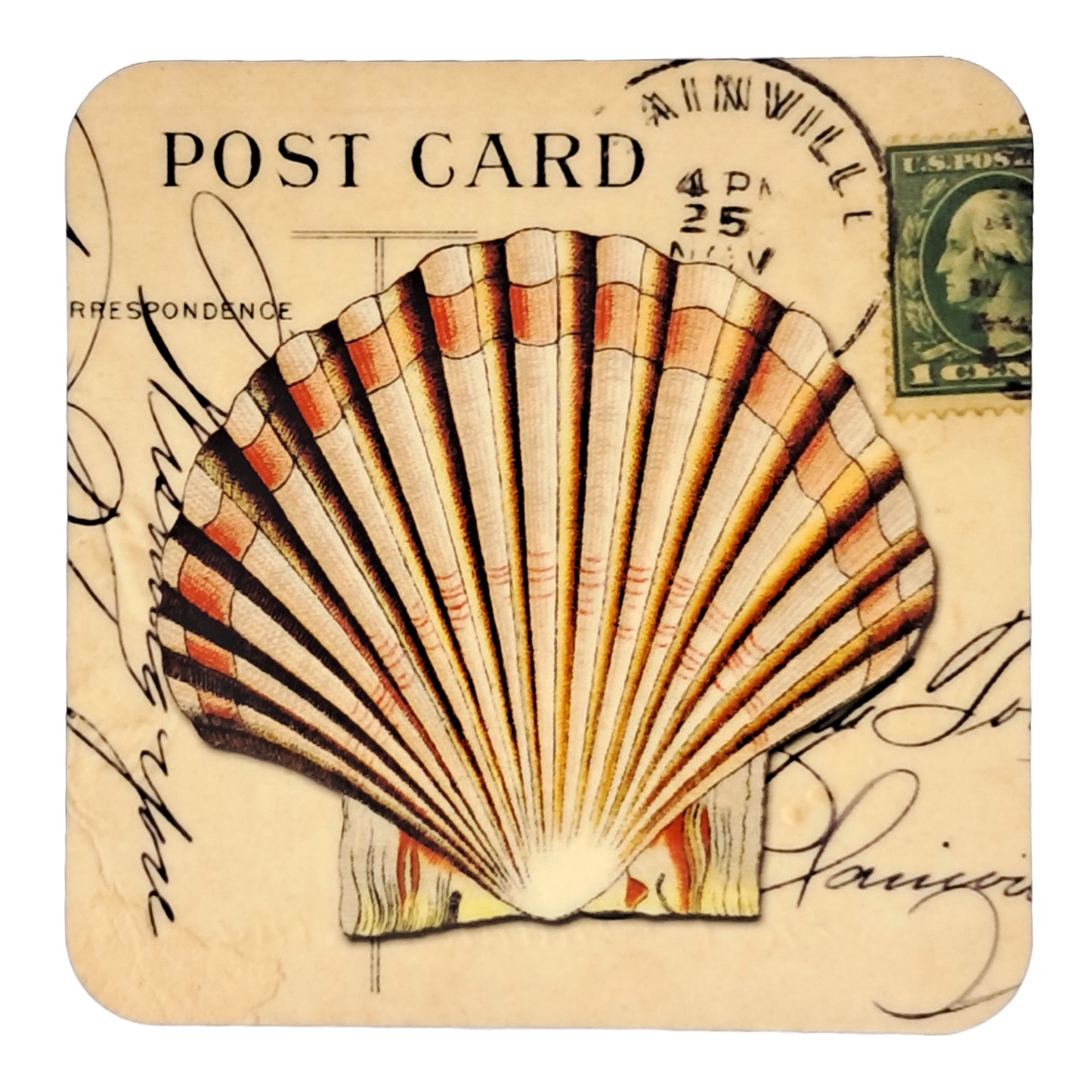 Coaster Set - Shells