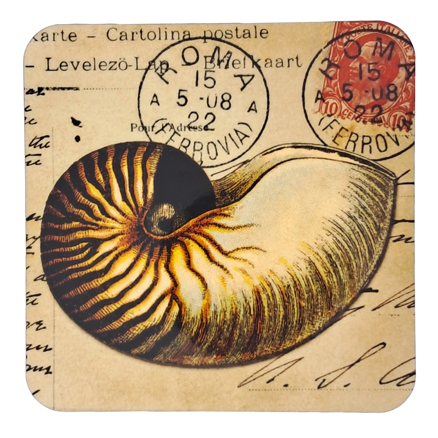 Coaster Set - Shells