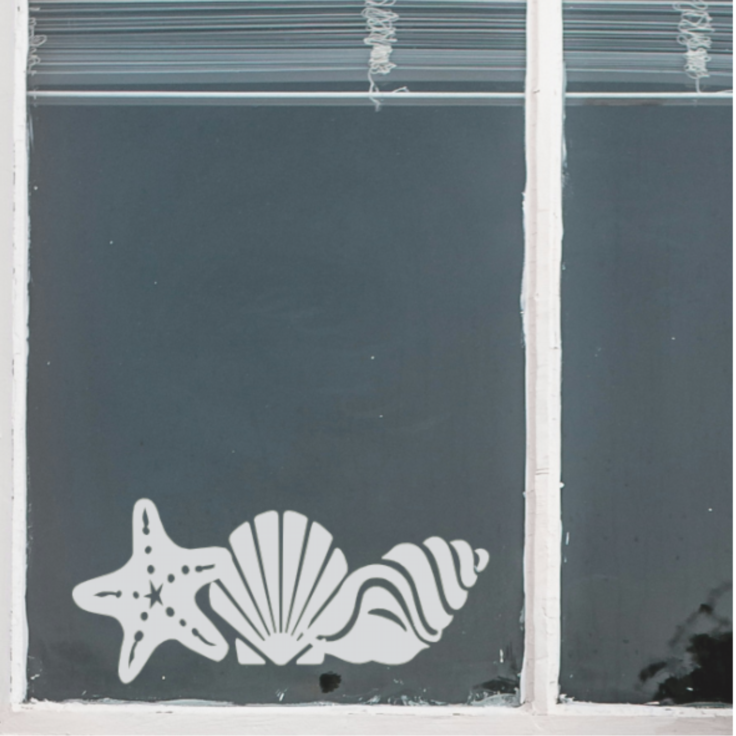 Decal - Shells