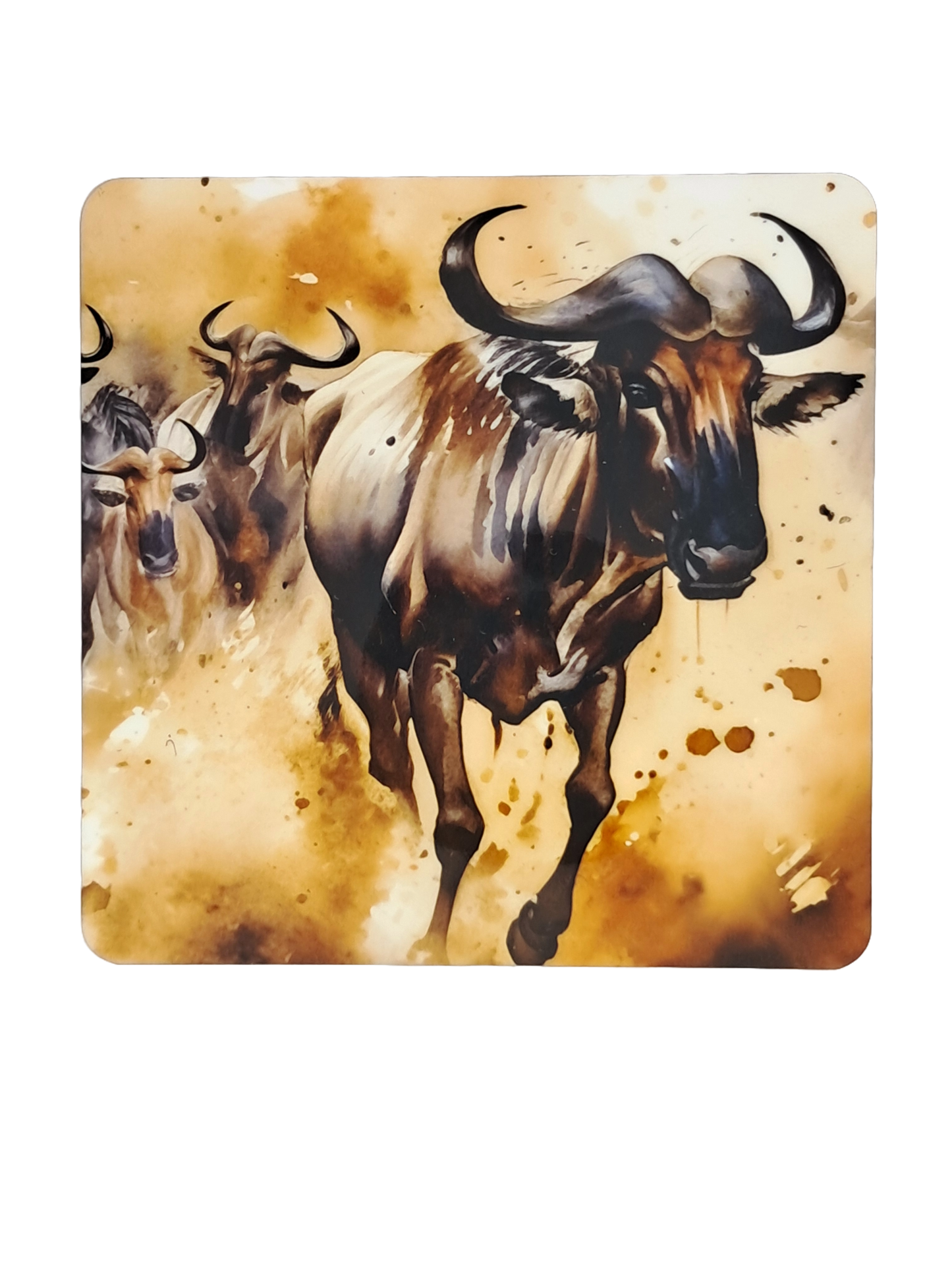 Coaster Set - African animals watercolour